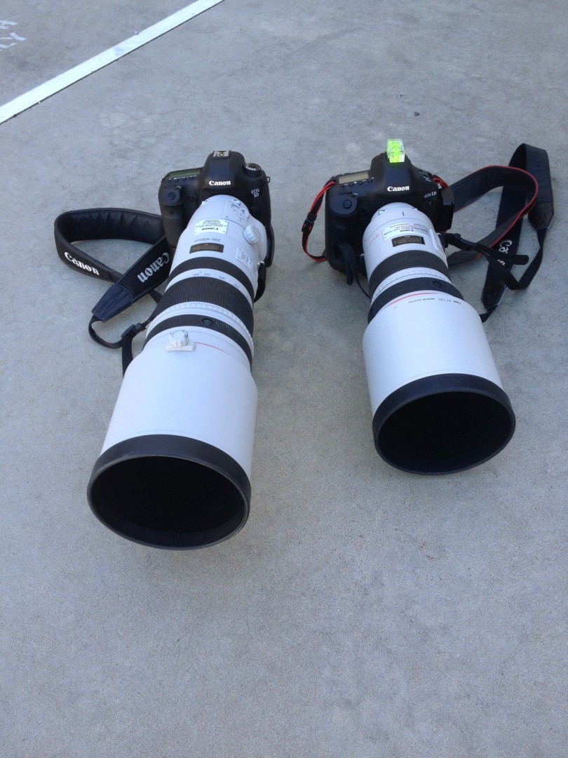 Canon 200-400 f4 and Canon 300 2.8